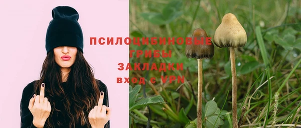 хмурый Нягань