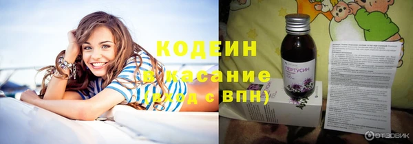 spice Няндома