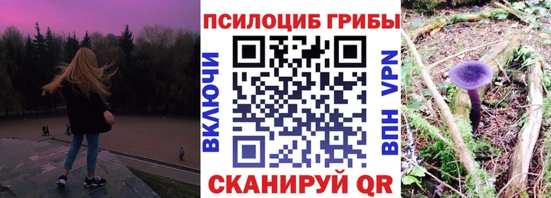 Псилоцибиновые грибы MAGIC MUSHROOMS  Пионерский 